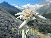 Nikon Z6 Nikkor 80-400mm